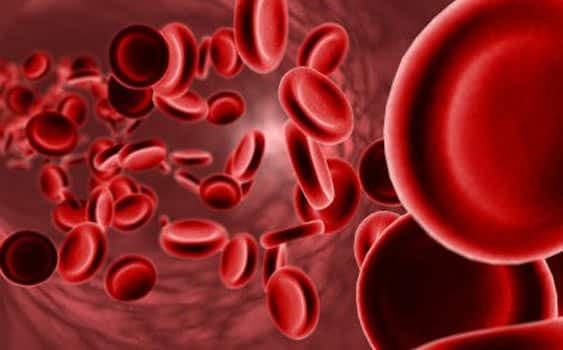 Anemi (Kansızlık) Hastalığı