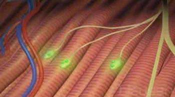 Botulizm Hastalığı Nedir?