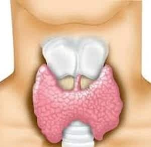 Hiperparatiroidi Ameliyatı