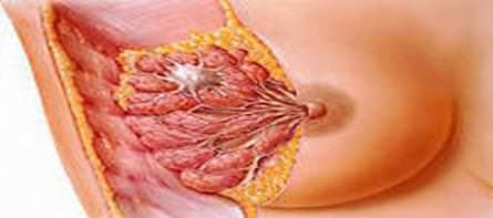 Mastit (Meme Absesi)