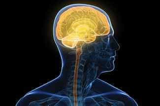 Santral Sinir Sistemi Tümörleri Belirtileri